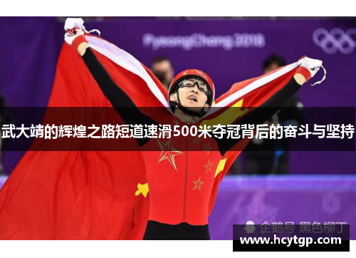 武大靖的辉煌之路短道速滑500米夺冠背后的奋斗与坚持